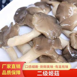 产地供应姬菇 干货人工食用农产品食用菌真姬菇平菇