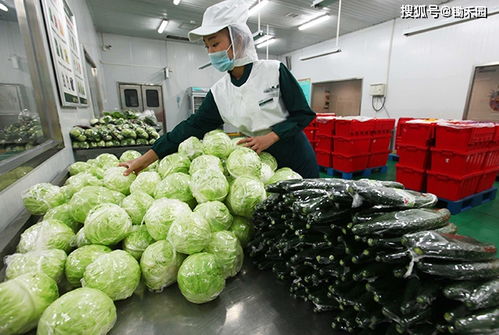 农产品进工厂,滞销变畅销,2025年,农产品营收将达到32万亿 食品工业园
