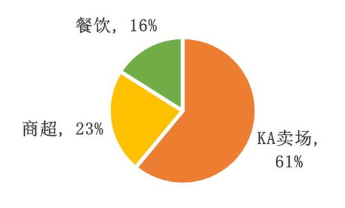 思念食品 打造数字营销渠道 案例精选