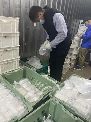 天津食品集团