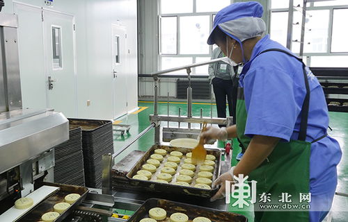 直播黑土地 哈尔滨百威 食品安全行 走进加工厂