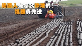味精包装机,食品包装设备,厂家直销,欢迎来厂验货