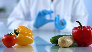 新修订《食品安全法实施条例》增设“处罚到人”:最高可处年收入10倍罚款