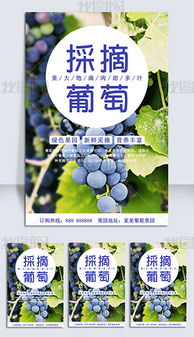秋季水果果蔬采摘葡萄果园绿色食品促销海报图片素材下载